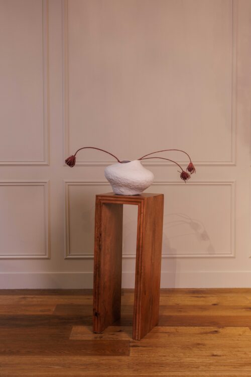Stele Raynure | Acacia naturel